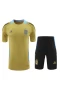 Argentina National Football Team Men Short Sleeves Football Kit 2024