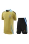 Argentina National Football Team Men Short Sleeves Football Kit 2024