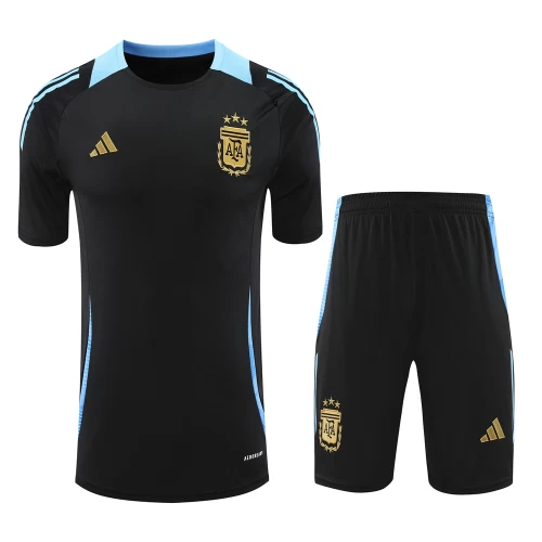 Argentina National Football Team Men Short Sleeves Football Kit 2024-25 