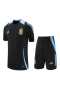 Argentina National Football Team Men Short Sleeves Football Kit 2024-25 