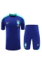 Brazil National Football Team Men Short Sleeves Football Kit Blue 2024-25