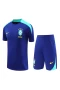 Brazil National Football Team Men Short Sleeves Football Kit Blue 2024-25