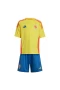 Colombia National Football Team Men Short Sleeves Home Football Kit 2024-25