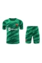 FC Barcelona Men Goalkeeper Short Sleeves Football Kit Green 2024