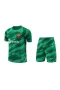 FC Barcelona Men Goalkeeper Short Sleeves Football Kit Green 2024