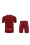 FC Barcelona Men Goalkeeper Short Sleeves Football Kit Wine Red