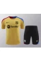 FC Barcelona Men Short Sleeve Football Training Kit 2024-25