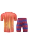 FC Barcelona Men Short Sleeves Football Kit Orange 2024