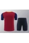 FC Barcelona Men Short Sleeves Football Set 2024-25 