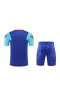 FC Barcelona Men Short Sleeves Football Training Kit