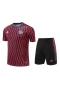 FC Bayern Munchen Men Short Sleeve Football Kit 2024