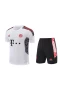 FC Bayern Munchen Men Short Sleeve Football Training Kit