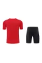 FC Bayern Munchen Men Short Sleeves Football Kit