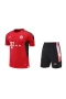 FC Bayern Munchen Men Short Sleeves Football Kit