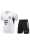 FC Bayern Munchen Men Short Sleeves Football Training Kit 2023