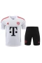 FC Bayern Munchen Men Short Sleeves Football Training Kit 2024