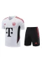 FC Bayern Munchen Men Short Sleeves Football Training Kit 2024