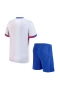 France National Football Team Men Short Sleeves Away Football Kit 2024-25