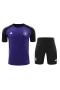 Germany National Football Team Men Short Sleeves Football Training Kit 2024-25