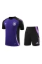 Germany National Football Team Men Short Sleeves Football Training Kit 2024-25