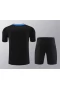 Inter Milan Men Short Sleeves Football Kit Black 2024-25 