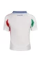 Italy National Football Team Men Short Sleeves Away Football Kit 2024-25