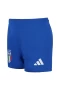 Italy National Football Team Men Short Sleeves Away Football Kit 2024-25