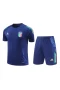 Italy National Football Team Men Short Sleeves Football Kit Blue 2024-25