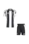 Juventus FC Men Short Sleeves Home Football Kit 2024-25