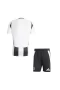 Juventus FC Men Short Sleeves Home Football Kit 2024-25