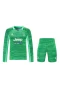 Juventus FC Men Goalkeeper Long Sleeves Football Kit Green