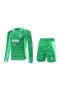 Juventus FC Men Goalkeeper Long Sleeves Football Kit Green