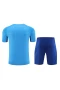 Juventus Fc Men Goalkeeper Short Sleeves Football Kit Blue 2024