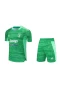 Juventus FC Men Goalkeeper Short Sleeves Football Kit Green