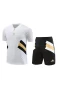 Juventus FC Men Short Sleeve Football Kit 2024