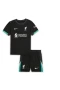 Liverpool Fc Kid Short Sleeves Away Football Kit Black 2024-25