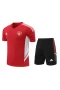 Manchester United FC Men Short Sleeve Football Training Kit 2023