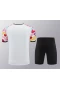 Manchester United FC Men Short Sleeves Football Kit