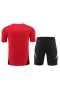 Manchester United FC Men Short Sleeves Football Kit 2024-25 