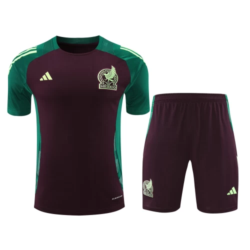 Mexico National Football Team Men Short Sleeve Football Kit 2024-25