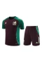 Mexico National Football Team Men Short Sleeve Football Kit 2024-25