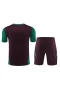 Mexico National Football Team Men Short Sleeve Football Kit 2024-25