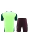 Mexico National Football Team Men Short Sleeves Football Kit 2024-25