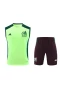 Mexico National Football Team Men Vest Football Kit 2024-25