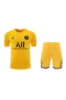 Paris Saint Germain FC Men Goalkeeper Short Sleeves Football Kit Yellow