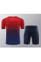 Paris Saint Germain FC Men Short Sleeves Football Training Kit 2024