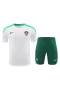 Portugal National Football Team Men Short Sleeves Football Kit 2024-25