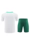 Portugal National Football Team Men Short Sleeves Football Kit 2024-25