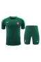 Portugal National Football Team Men Short Sleeves Football Kit Green 2024-25