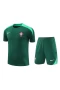 Portugal National Football Team Men Short Sleeves Football Kit Green 2024-25